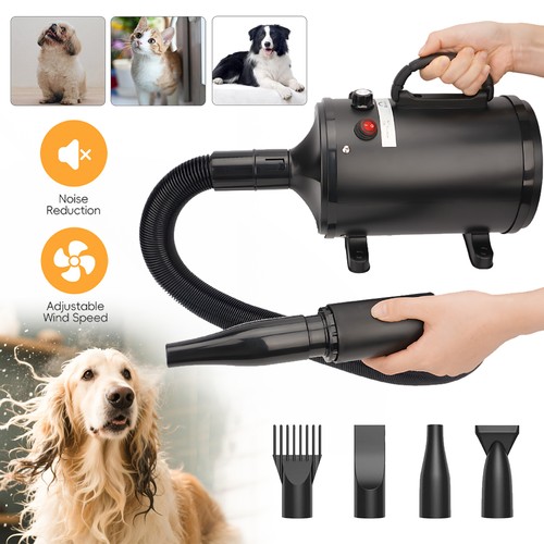 Asciugacapelli per cani 2800 - , w