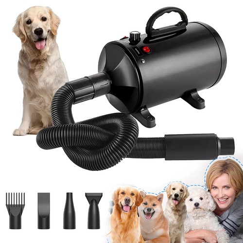 Asciugacapelli per cani - asciugacapelli,
